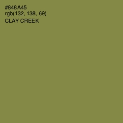 #848A45 - Clay Creek Color Image